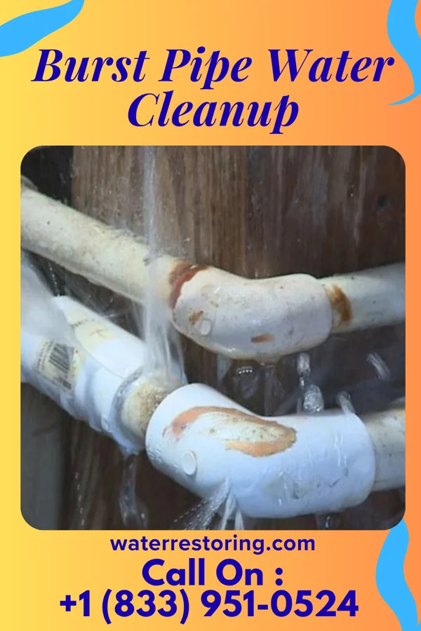 Burst Pipe Water Cleanup in Buckman, MN