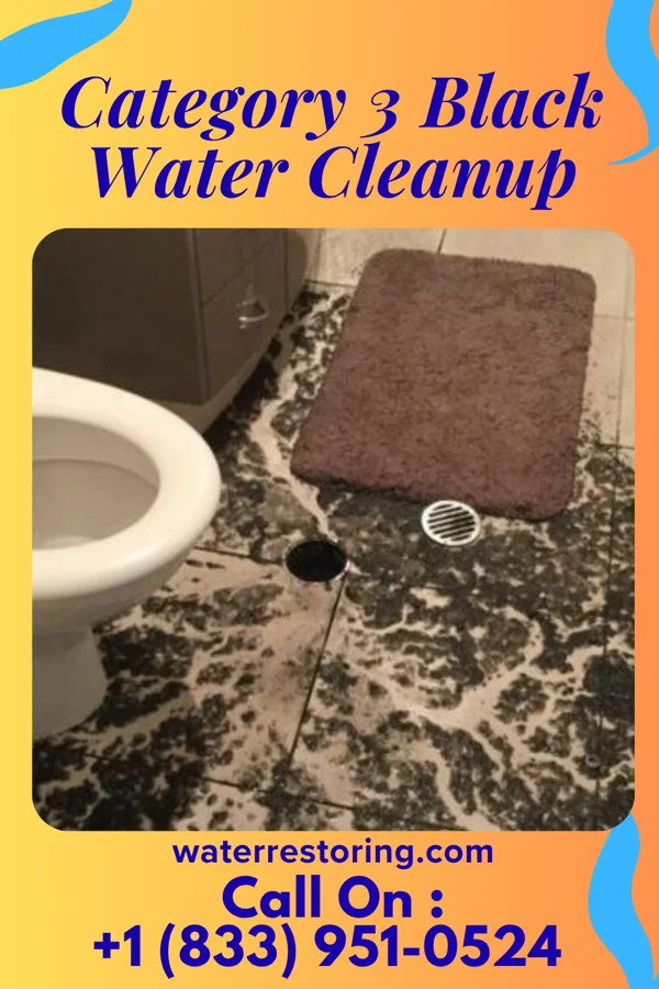 Category 3 Black Water Cleanup in Buckman, MN