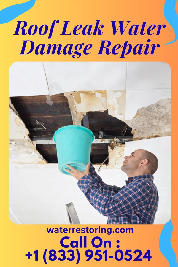 Roof Leak Water Damage Repair in Buckman, MN